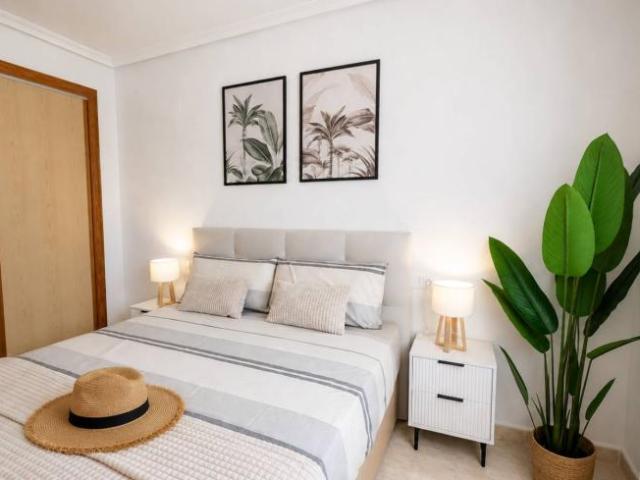 Alquiler 1 Dormitorio Apartamentos Alicante Alicante DS103414657