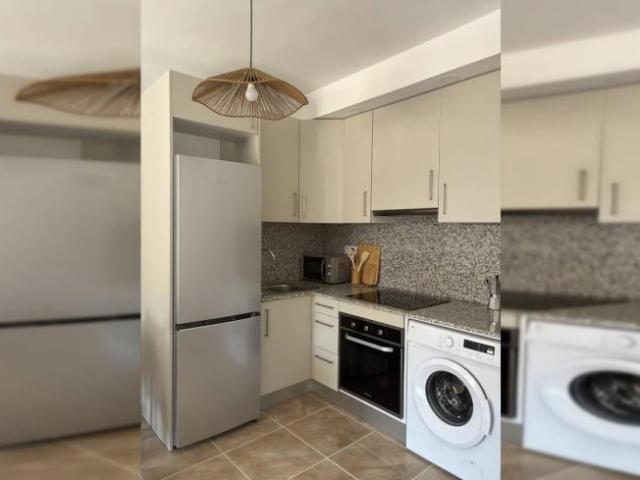 Alquiler 1 Dormitorio Apartamentos Alicante Alicante DS103414658