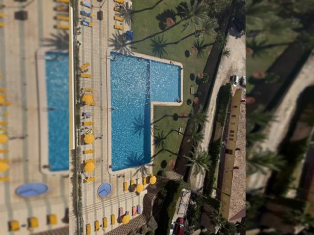 Alquiler 1 Dormitorio Apartamentos Alicante Alicante DS103925332