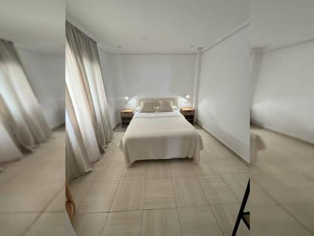 Alquiler 1 Dormitorio Apartamentos Alicante Alicante DS88912684
