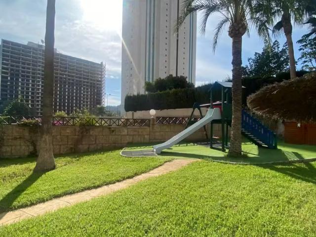 Alquiler 1 Dormitorio Apartamentos Alicante Alicante DS97881351