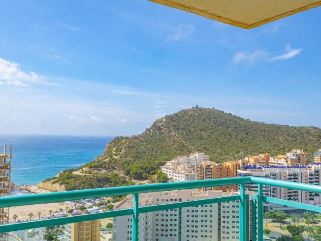 Alquiler 1 Dormitorio Apartamentos Alicante Communidad Valencia DLS101953139