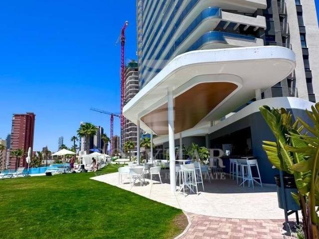 Alquiler 1 Dormitorio Apartamentos Alicante Communidad Valencia DLS102630426