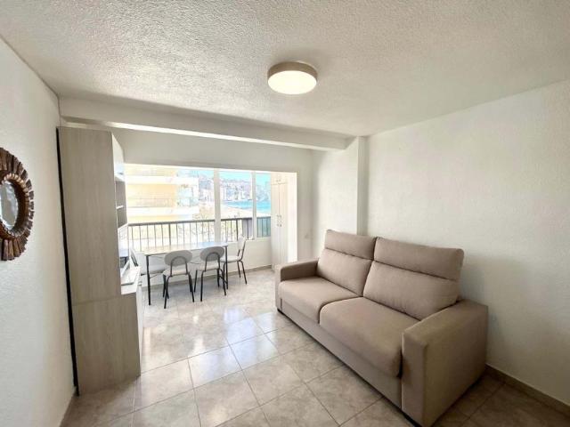 Alquiler 1 Dormitorio Apartamentos Alicante Communidad Valencia DLS81431357