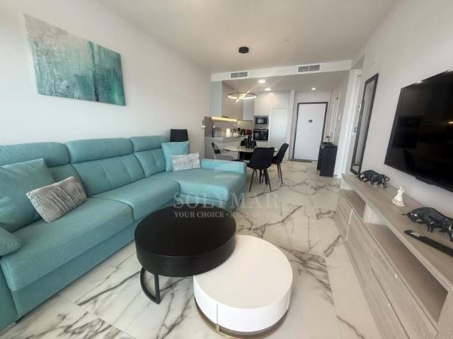 Alquiler 1 Dormitorio Apartamentos Alicante Communidad Valencia DS96347982