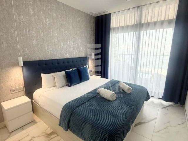Alquiler 1 Dormitorio Apartamentos Alicante Communidad Valencia DS101695593