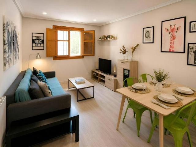 Alquiler 1 Dormitorio Apartamentos Burgos Burgos DS104798280