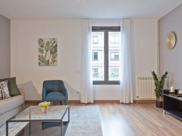 Alquiler 1 Dormitorio Apartamentos Barcelona Barcelona DLS99978444