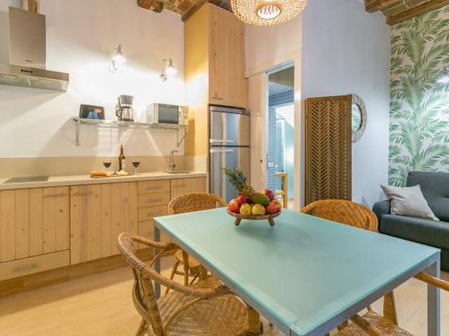 Alquiler 1 Dormitorio Apartamentos Barcelona Barcelona DS65796780
