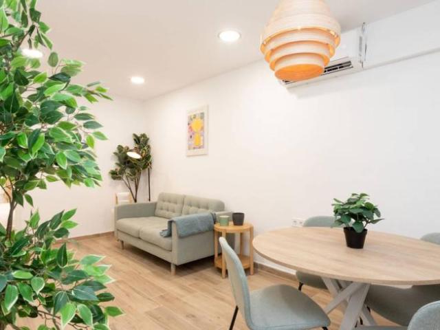 Alquiler 1 Dormitorio Apartamentos Barcelona Barcelona DS91291637