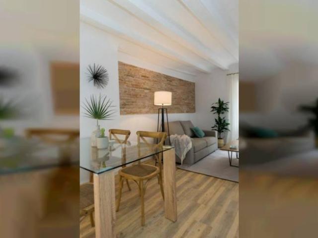 Alquiler 1 Dormitorio Apartamentos Barcelona Barcelona DS92542761