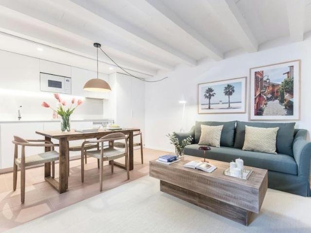 Alquiler 1 Dormitorio Apartamentos Barcelona Barcelona DS100764674