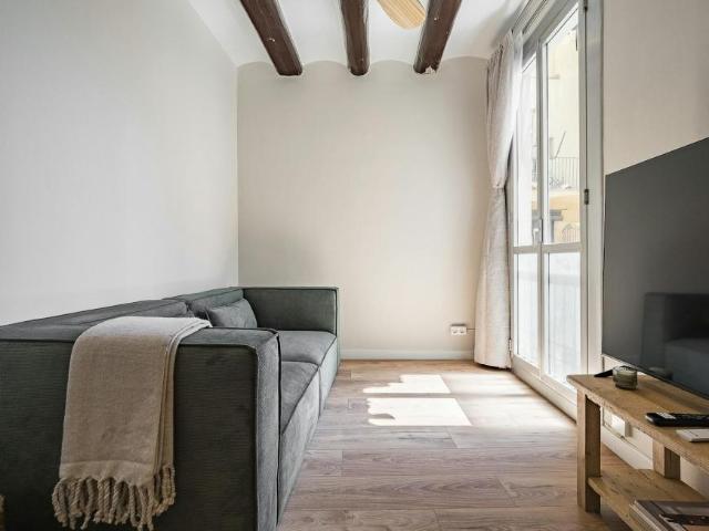 Alquiler 1 Dormitorio Apartamentos Barcelona Barcelona DS100943636
