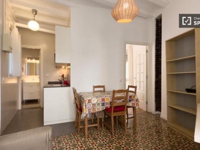 Alquiler 1 Dormitorio Apartamentos Barcelona Barcelona DS100124340