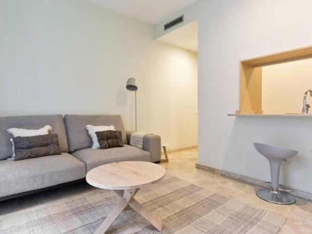 Alquiler 1 Dormitorio Apartamentos Barcelona Barcelona DS100177828