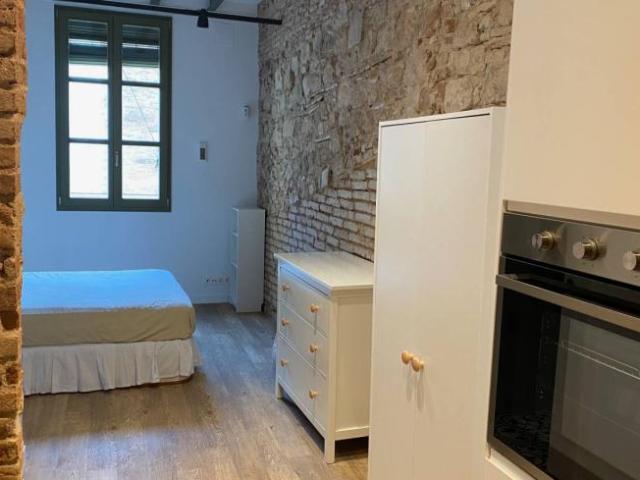 Alquiler 1 Dormitorio Apartamentos Barcelona Barcelona DS101692575