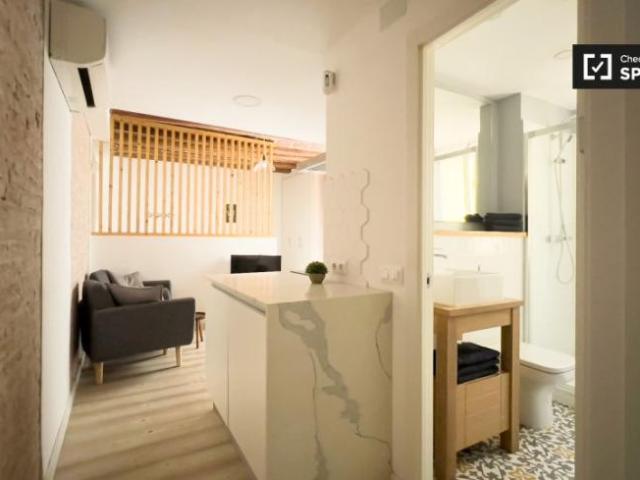 Alquiler 1 Dormitorio Apartamentos Barcelona Barcelona DS101735265