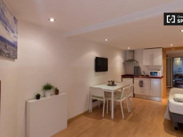 Alquiler 1 Dormitorio Apartamentos Barcelona Barcelona DS101737040