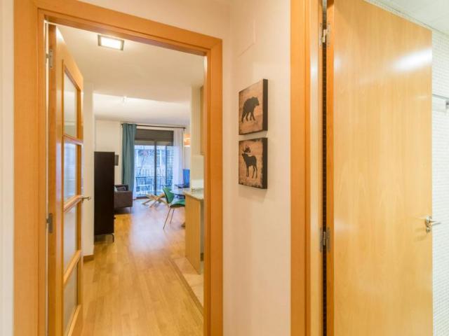 Alquiler 1 Dormitorio Apartamentos Barcelona Barcelona DS101793445