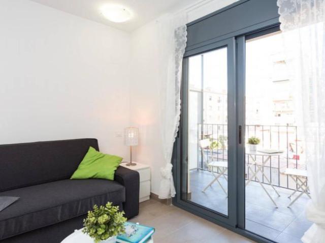 Alquiler 1 Dormitorio Apartamentos Barcelona Barcelona DS101805856