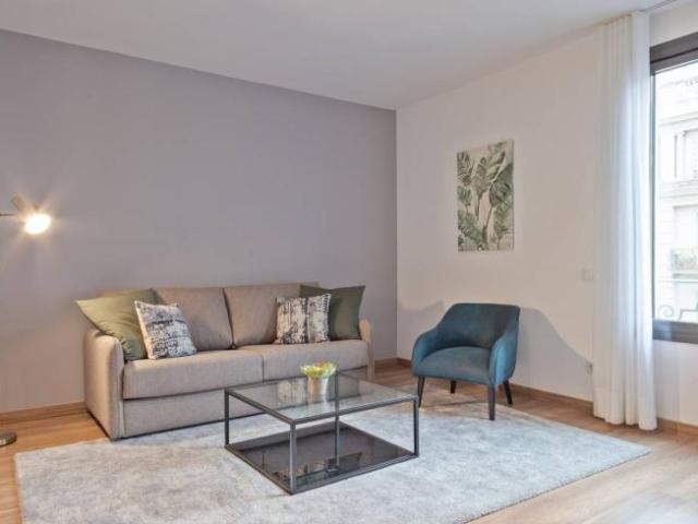 Alquiler 1 Dormitorio Apartamentos Barcelona Barcelona DS101805365
