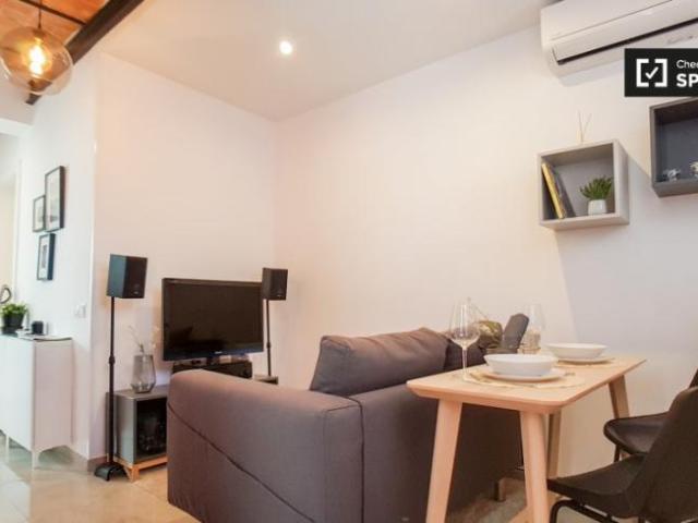 Alquiler 1 Dormitorio Apartamentos Barcelona Barcelona DS101807792