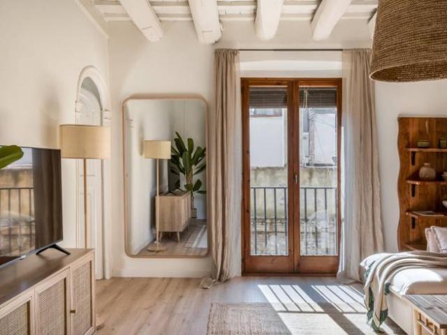 Alquiler 1 Dormitorio Apartamentos Barcelona Barcelona DS101812741