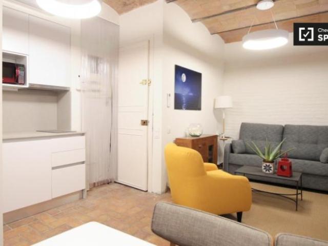 Alquiler 1 Dormitorio Apartamentos Barcelona Barcelona DS101815606