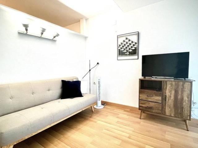 Alquiler 1 Dormitorio Apartamentos Barcelona Barcelona DS101816657