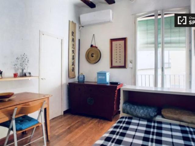 Alquiler 1 Dormitorio Apartamentos Barcelona Barcelona DS101819222