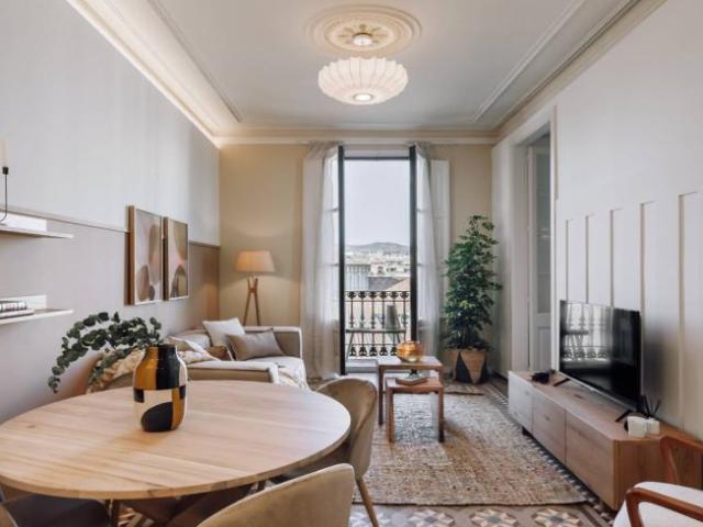 Alquiler 1 Dormitorio Apartamentos Barcelona Barcelona DS101823634