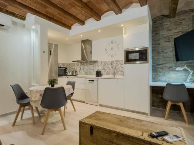 Alquiler 1 Dormitorio Apartamentos Barcelona Barcelona DS101834694