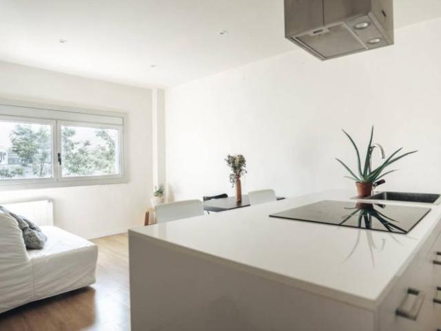 Alquiler 1 Dormitorio Apartamentos Barcelona Barcelona DS101840332