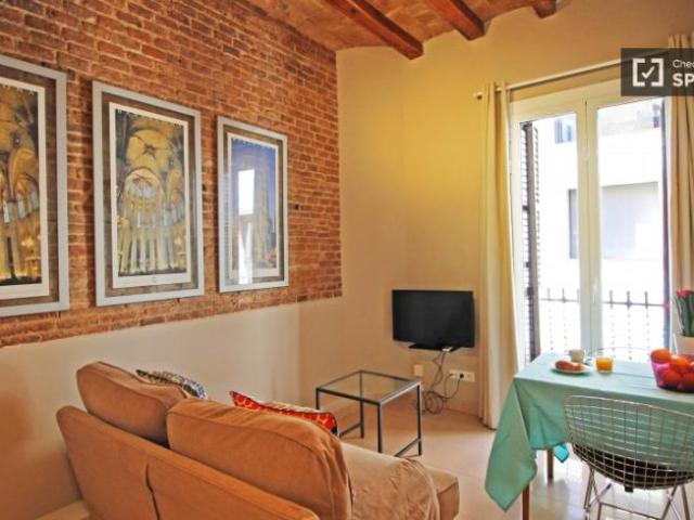 Alquiler 1 Dormitorio Apartamentos Barcelona Barcelona DS101845952