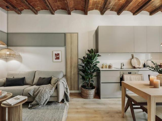 Alquiler 1 Dormitorio Apartamentos Barcelona Barcelona DS101917125