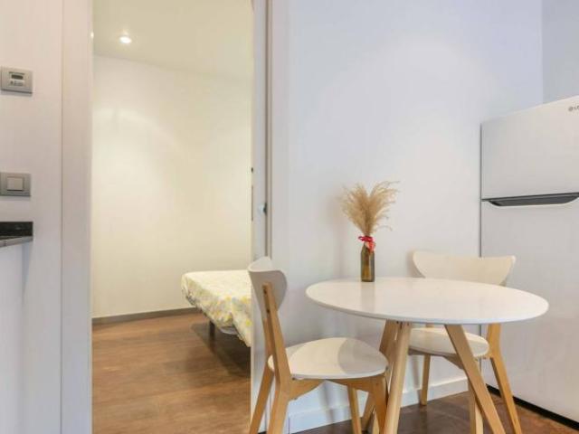 Alquiler 1 Dormitorio Apartamentos Barcelona Barcelona DS101021589