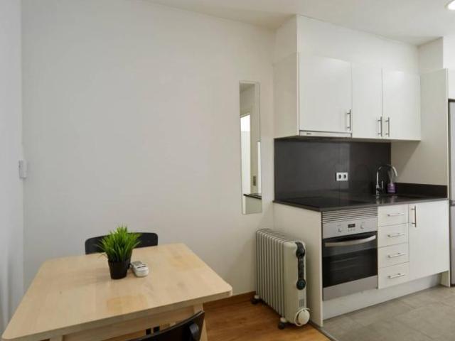 Alquiler 1 Dormitorio Apartamentos Barcelona Barcelona DS101155214
