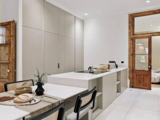 Alquiler 1 Dormitorio Apartamentos Barcelona Barcelona DS102400663