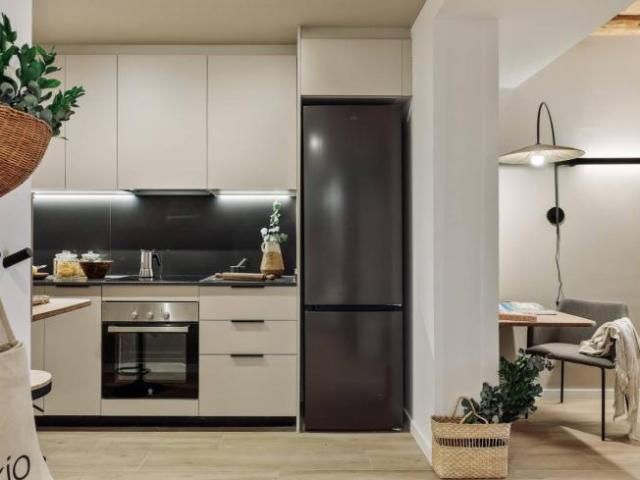 Alquiler 1 Dormitorio Apartamentos Barcelona Barcelona DS102852964
