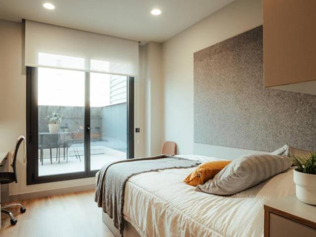 Alquiler 1 Dormitorio Apartamentos Barcelona Barcelona DS102146878