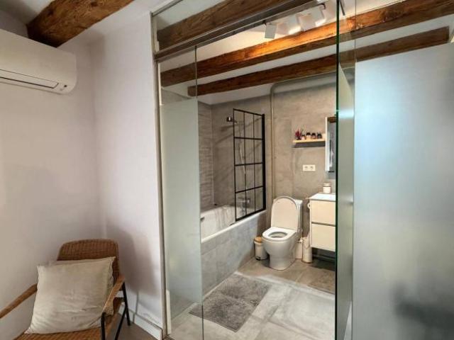 Alquiler 1 Dormitorio Apartamentos Barcelona Barcelona DS102249936