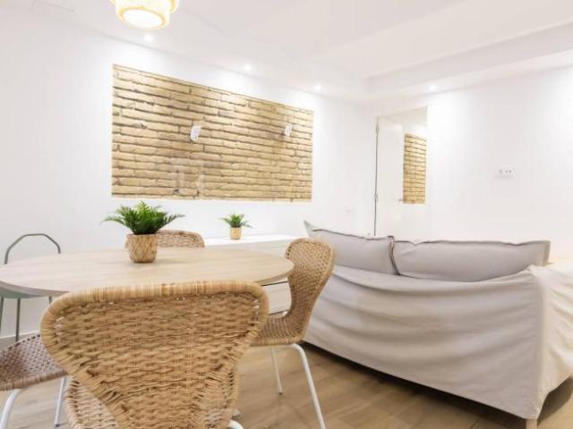 Alquiler 1 Dormitorio Apartamentos Barcelona Barcelona DS103490668