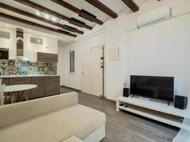 Alquiler 1 Dormitorio Apartamentos Barcelona Barcelona DS103922732