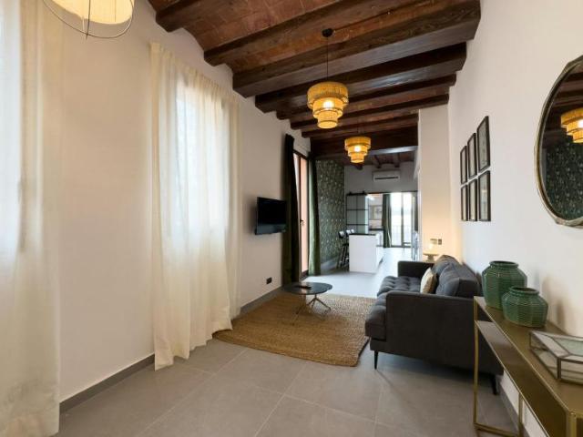 Alquiler 1 Dormitorio Apartamentos Barcelona Barcelona DS103180494