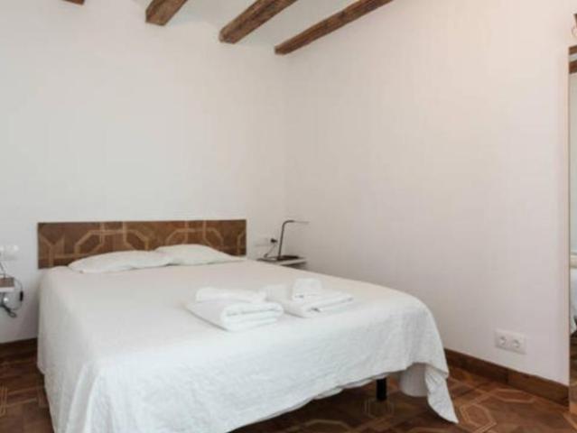 Alquiler 1 Dormitorio Apartamentos Barcelona Barcelona DS103284565