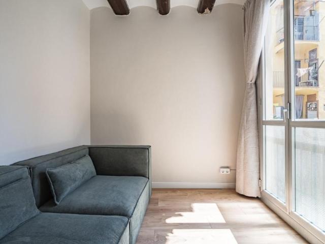 Alquiler 1 Dormitorio Apartamentos Barcelona Barcelona DS103326705