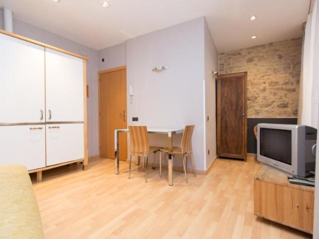 Alquiler 1 Dormitorio Apartamentos Barcelona Barcelona DS103358184