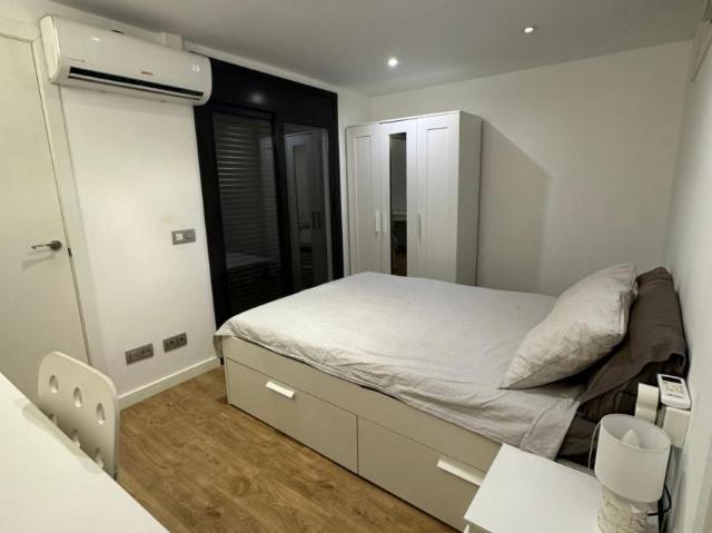 Alquiler 1 Dormitorio Apartamentos Barcelona Barcelona DS104474531