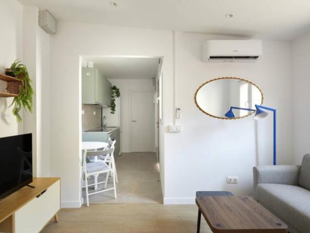 Alquiler 1 Dormitorio Apartamentos Barcelona Barcelona DS104474204