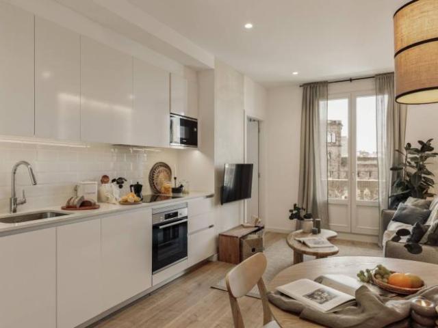 Alquiler 1 Dormitorio Apartamentos Barcelona Barcelona DS104474319